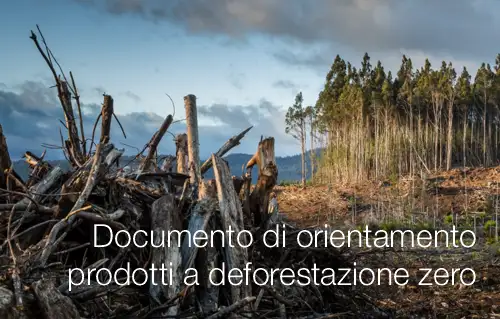 Documento di orientamento Regolamento (UE) 2023/1115 prodotti a deforestazione zero